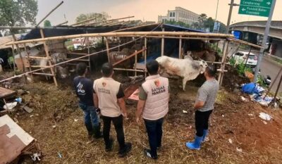Satgas Pangan Polri melakukan monitoring di beberapa tempat penjualan hewan kurban. (Foto PMJ News)